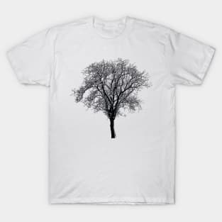 Lone Tree Dark T-Shirt